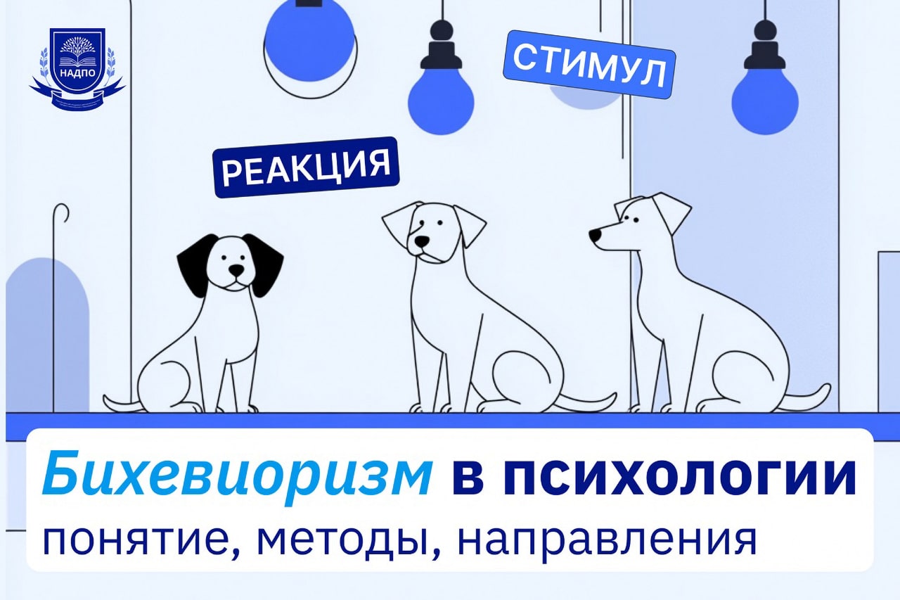 Бихевиорист: кто это и чем занимается